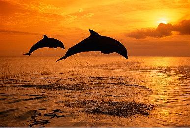 全动态真人互动影像作品《恋人契约》Steam页面上线 发售日待定